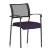Bespoke Tansy Purple Fabric