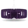 Plum Purple